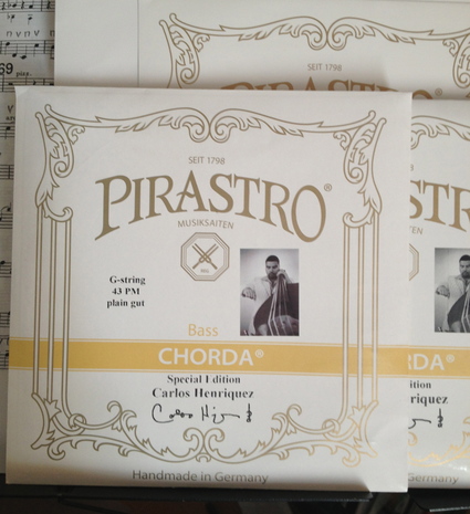 PIRASTRO Chorda ガット弦 コルダ G D