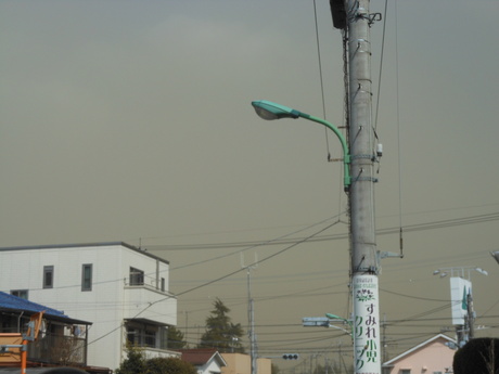 c0206177_826596.jpg