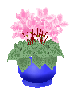 e0014678_1655336.gif