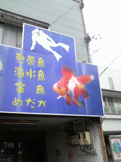 f0228680_940258.jpg