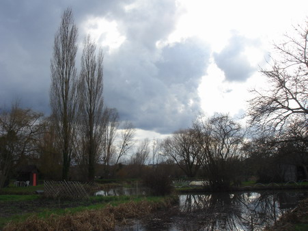a0247585_714256.jpg