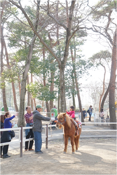 レトロかわいい写真旅　～むさしの村　動物編～_f0224192_103459.jpg