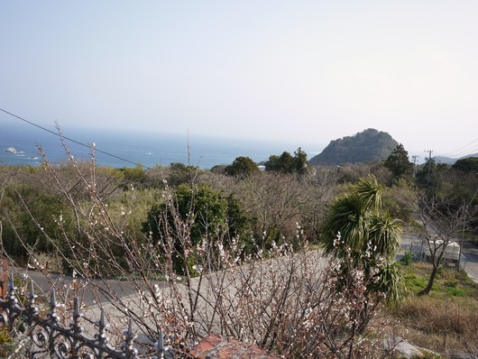 a0207593_23283554.jpg