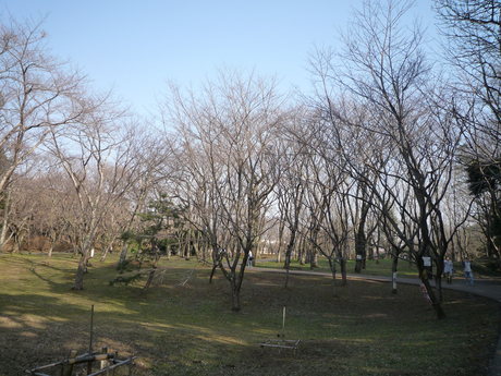 f0250403_13455525.jpg