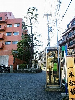 麻布一本松(麻布十番散歩3)_c0187004_841412.jpg