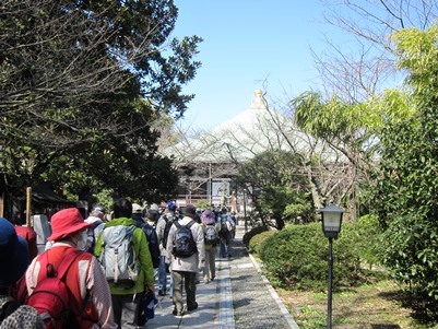 歩け歩け協会ふれあいウォーク－住吉城址(2013.03.12)_e0245404_17131636.jpg