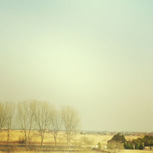 c0186410_1415957.jpg
