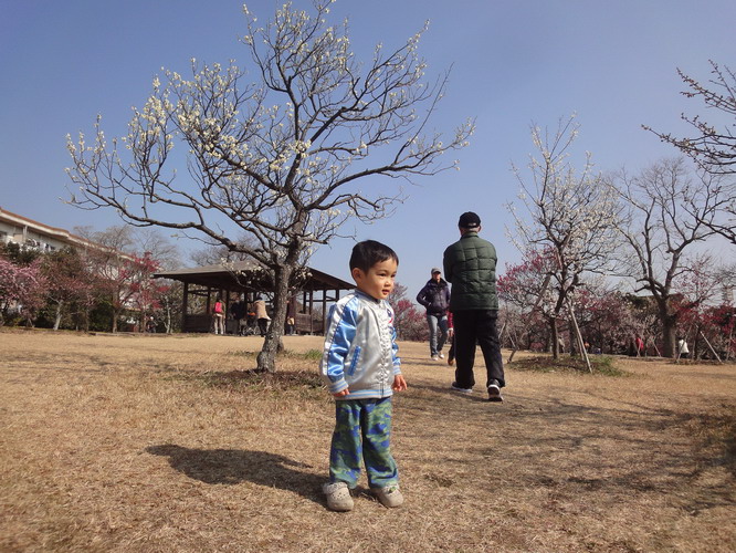 d0004617_1874862.jpg