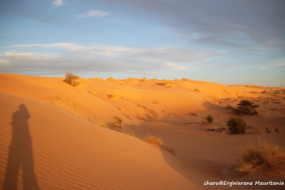 3/4-5　ErgWarane&Legueilla Mauritania_d0074518_2224937.jpg