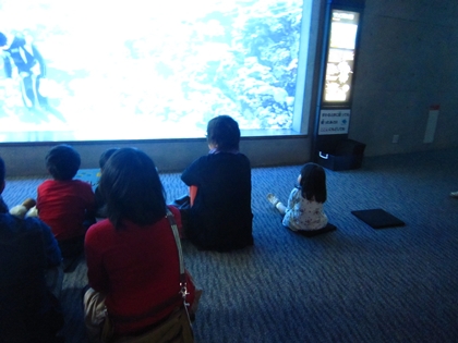 大分マリ－ンパレス水族館「うみたまご」_a0105023_11553926.jpg