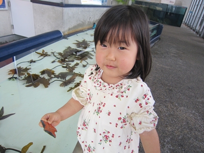 大分マリ－ンパレス水族館「うみたまご」_a0105023_1213399.jpg