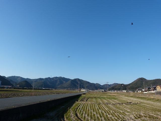 a0188023_7453341.jpg