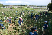 c0166825_12173551.jpg