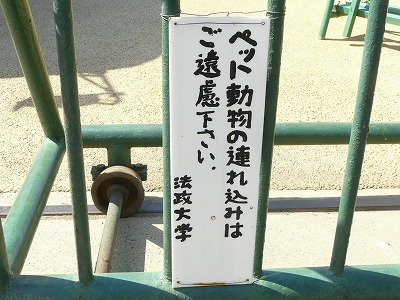 専修大対法政大 3月12日 オープン戦・前半_b0166128_18133346.jpg