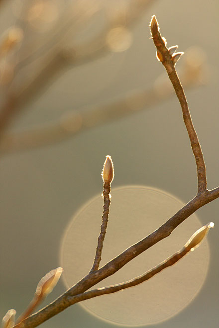 c0067040_22432288.jpg