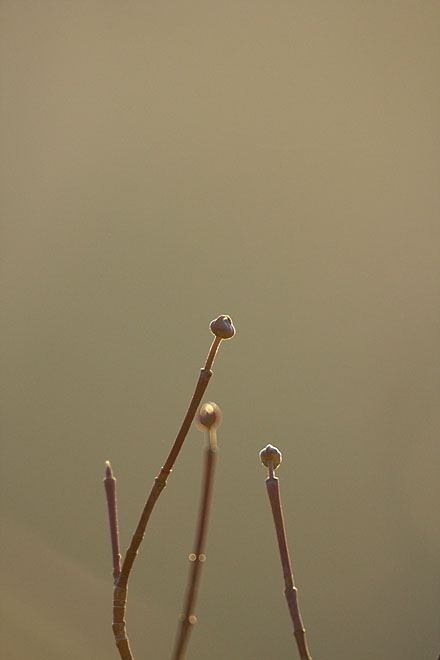 c0067040_22452624.jpg
