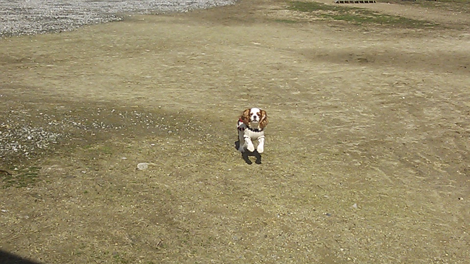 e0145441_7331714.jpg