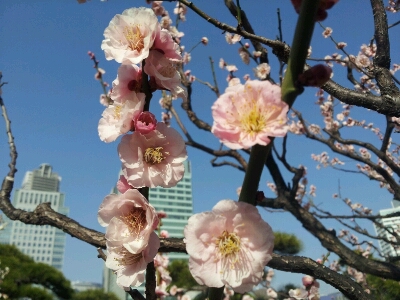 春です~_e0277143_1705113.jpg