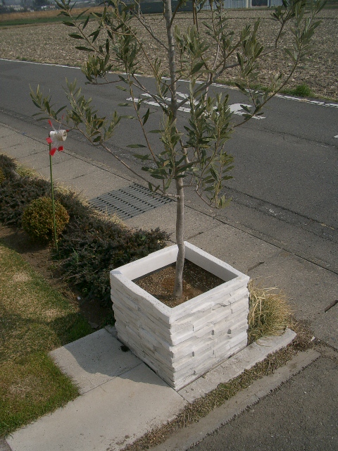 おやすみなさ~い_a0155844_11122472.jpg