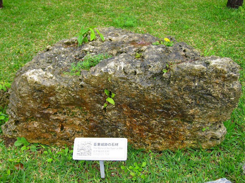 【沖縄】番外　各グスクで使われている石の種類_e0237645_8153453.jpg