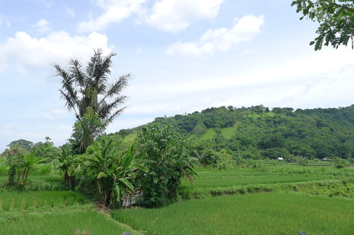 f0209354_1071020.jpg