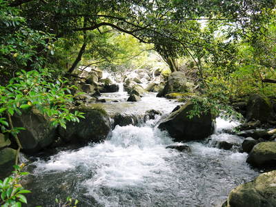 菊池水源棚田米 土を育てる匠!_a0254656_16434222.jpg