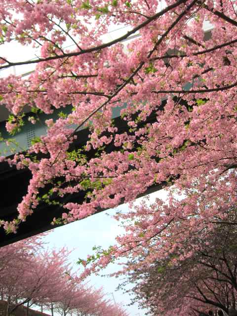 c0042960_16131744.jpg