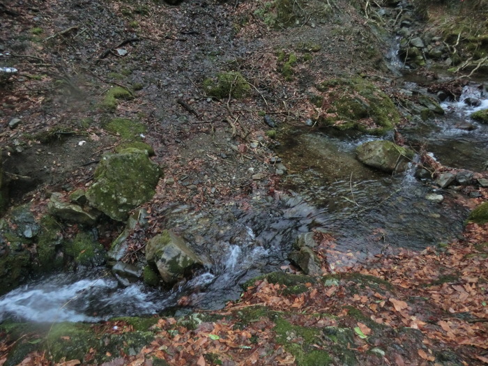 No277 寒冷前線通過・悪天の養老山地へ_b0185573_2141418.jpg