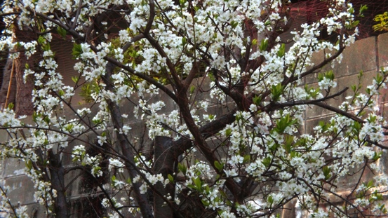 b0214473_23161918.jpg