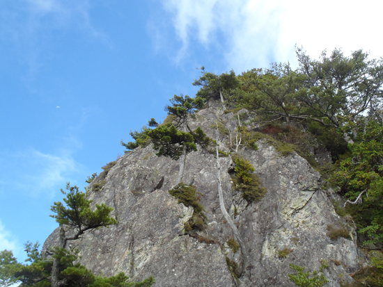e0298884_2255148.jpg