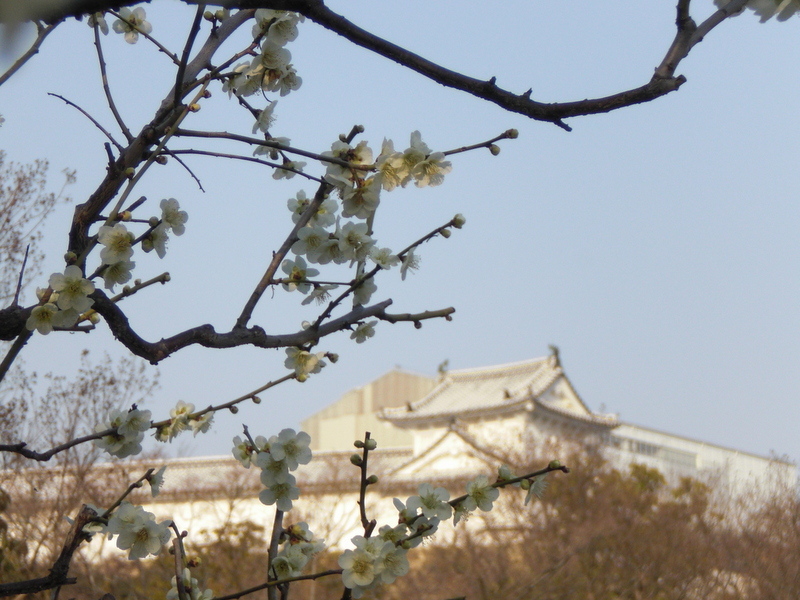 c0013687_8354354.jpg