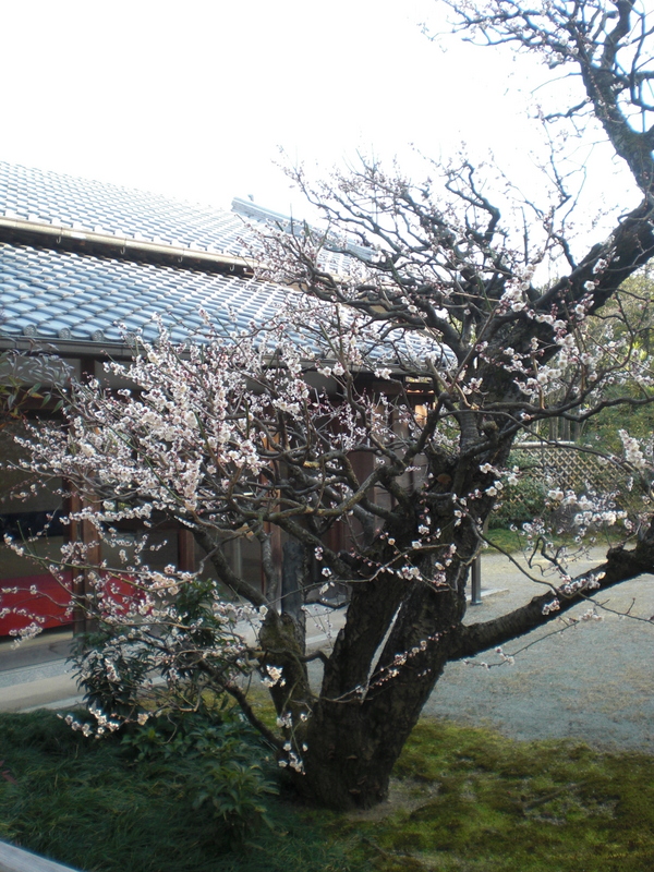 c0013687_836372.jpg