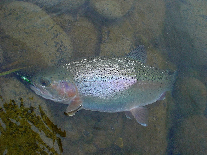 b0207491_14153545.jpg