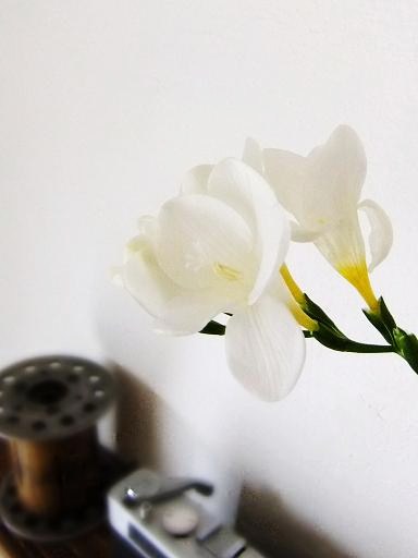 b0189895_23143353.jpg