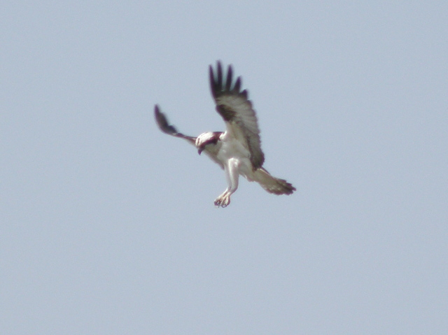 a0206496_18352140.jpg