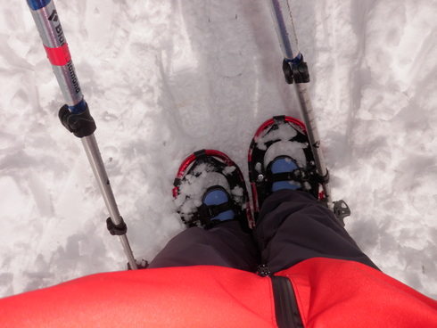 はじめてのスノーシュー&雪山登山_d0122797_23355435.jpg