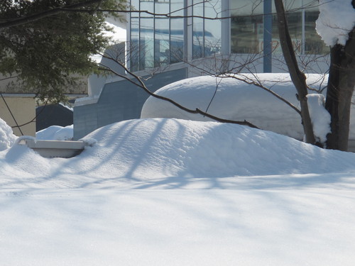 青春の詩碑　写真◎◎雪_c0075701_618331.jpg