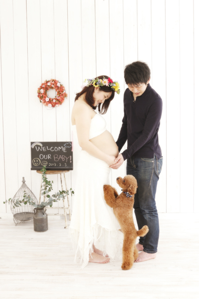 マタニティフォト 愛犬と一緒に Photo Studio Sparkle マタニティフォト 愛犬と一緒に Photo Studio Sparkle