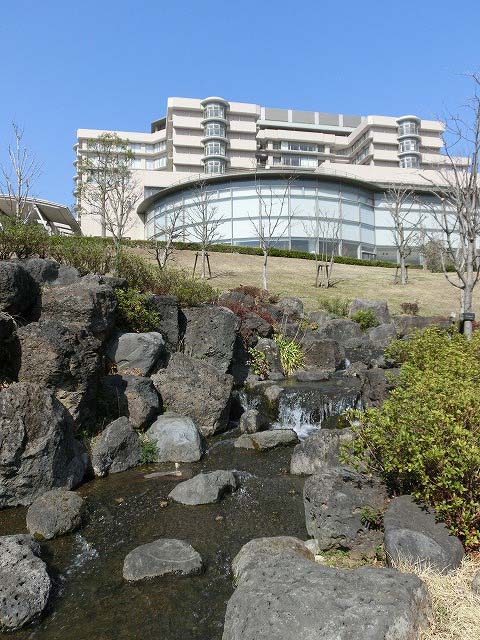カワヅザクラが満開　静岡がんセンターの庭園_f0141310_7184090.jpg