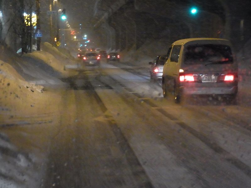 雪解けから一転してまた吹雪_c0025115_22461596.jpg