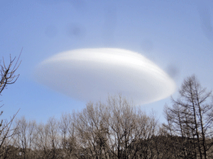 f0232920_14174141.gif