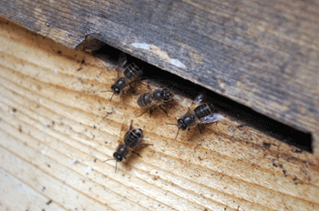 f0232920_14373282.gif