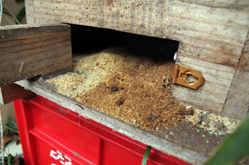 f0232920_14382159.gif