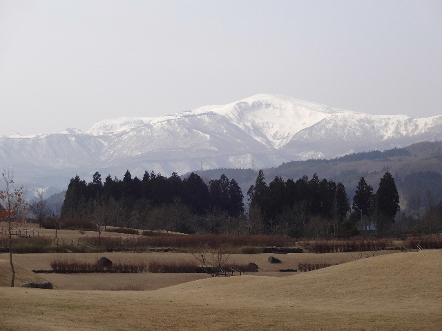 c0141223_18514387.jpg