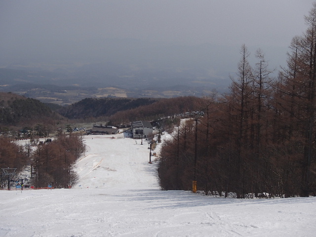 c0141223_1954265.jpg