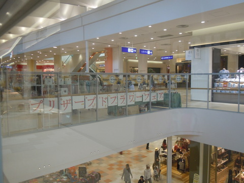 d0173524_22243057.jpg