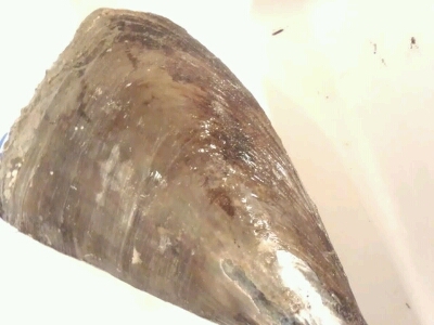 b0134728_15544792.jpg