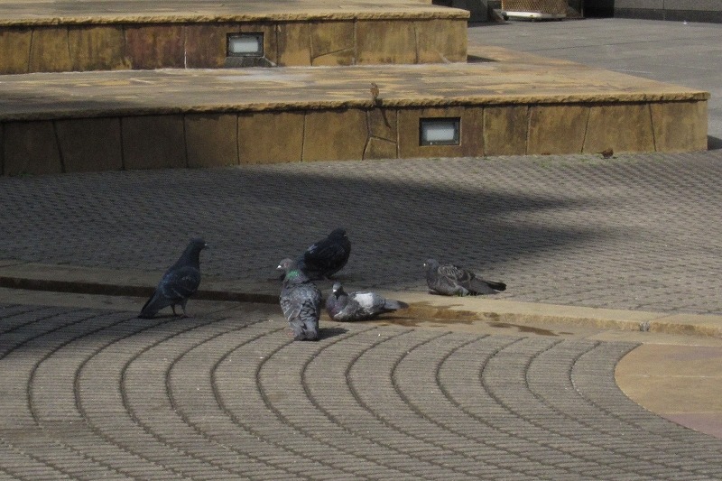 c0209932_2238414.jpg