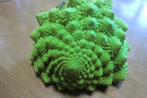 c0236632_7414198.jpg