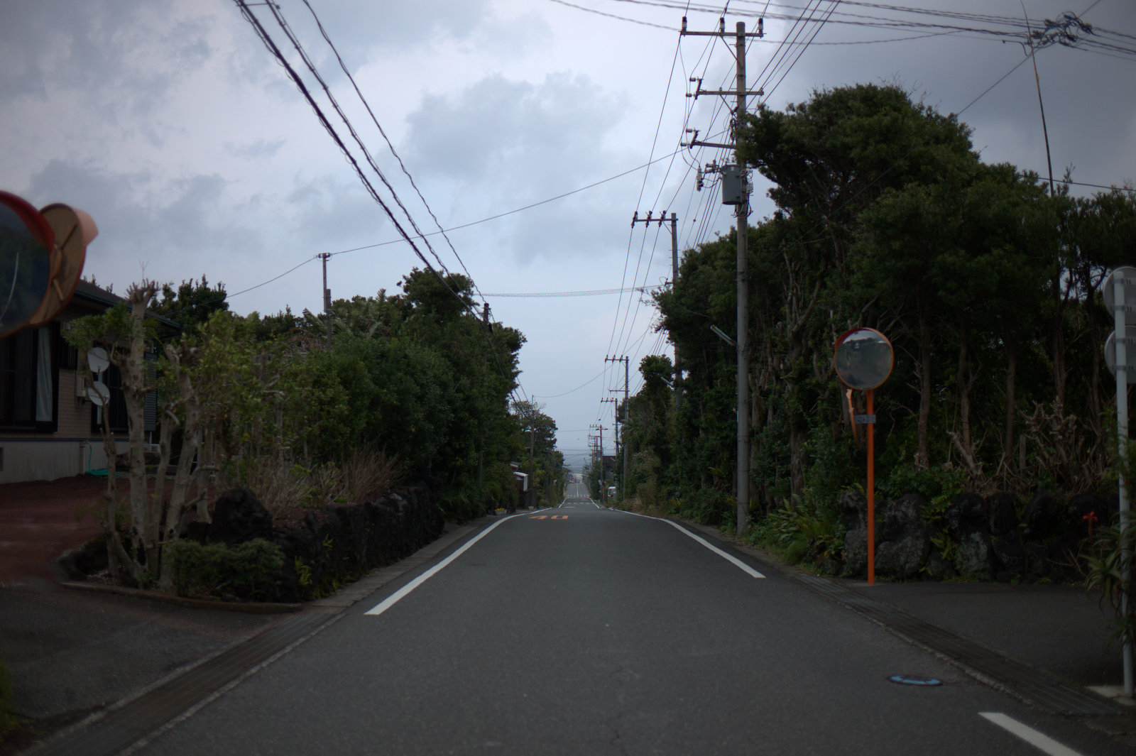 scene256:ライカ片手に八丈島散策　その①_e0253132_22562423.jpg